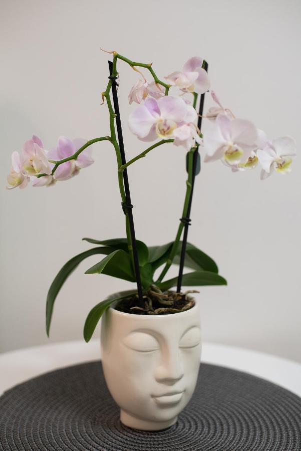 Medluxe Cozy Apartment! Athena Bagian luar foto